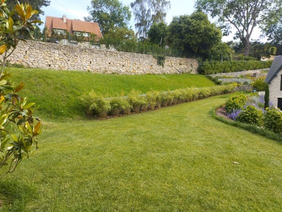 Jardin soigneusement entretenu avec un muret en pierre et une pelouse verte, parfaite pour un paysage résidentiel.