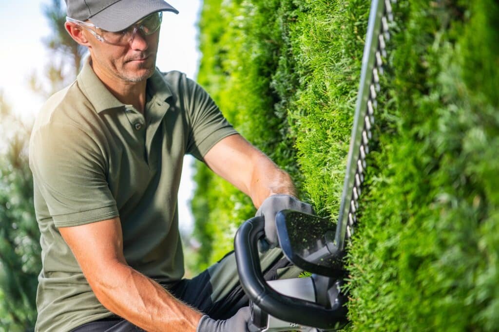 Jardinier professionnel taillant méticuleusement une haie verdoyante avec un taille-haie motorisé.